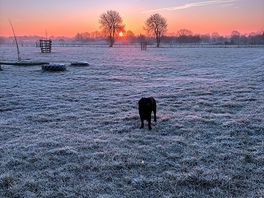 Sunrise frost