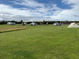 The site