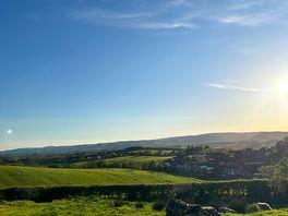 Views