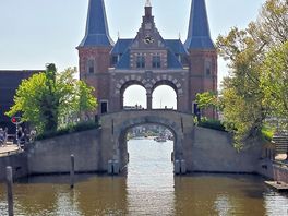 Sneek