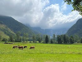 View from the campsite