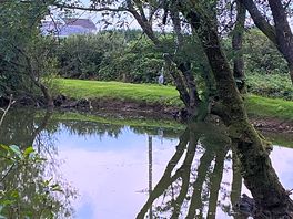 The heron again