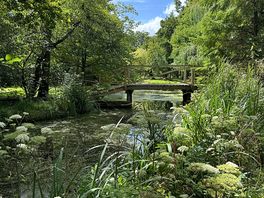 Fairhaven water garden