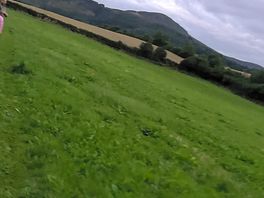 Scenery from dog walking field