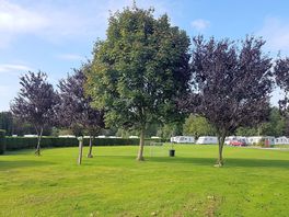 Grassy pitches and playing field