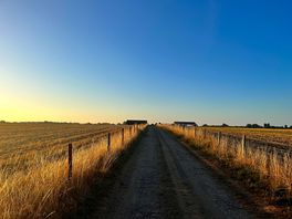The stroll to the farm