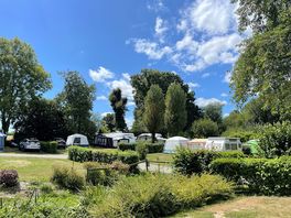 Mature gardens and trees