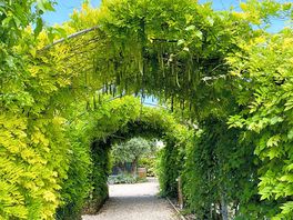 Espaces verts bien entretenus