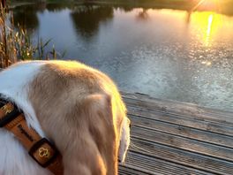 Looking over the lake