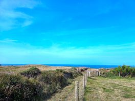 Footpath next to campsite.