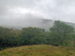 Views on the walks