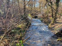 Stream