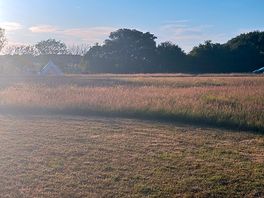 Campsite
