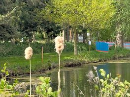 Our pitch overlooking the lovely lake