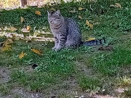 Little visitor