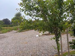 The site.