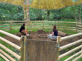 Fire pit in the woods