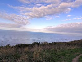 View from site