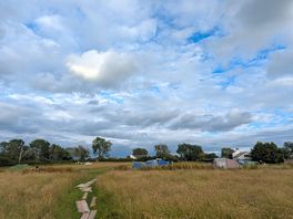 Campsite from toilets
