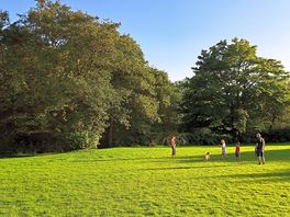 Field