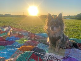 Sun going down in a beautiful place