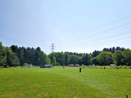 Grass with electric