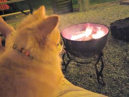 Firepit at night