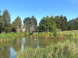 Fishing pond on site