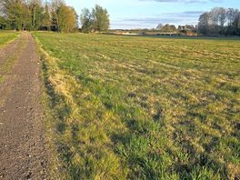 Walk nearby