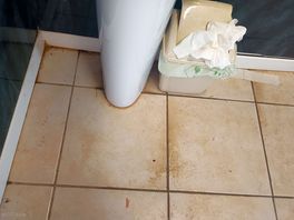 Overflowing bins dirty floor