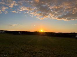 Sunsetting on the site. late may.
