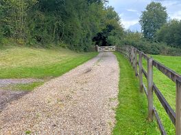The driveway