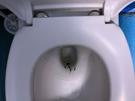 Toilet 2