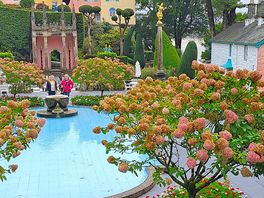The fountain and pond