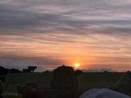 Beautiful sunset.