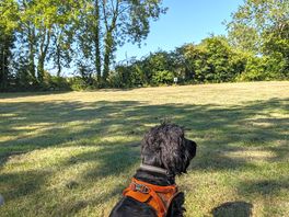 Enjoying the scenery
