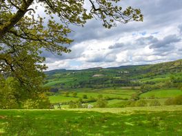 Highest part of the farm