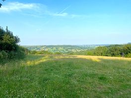 Top field