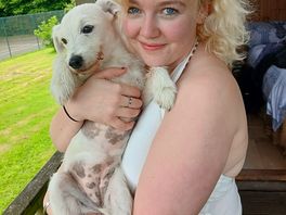 The site owners beautiful dog!!!