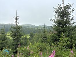 Lovely views