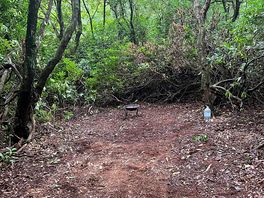 Leave no trace