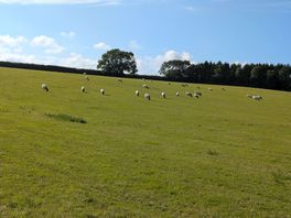 View from the field we stayed in