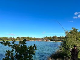 Lush day