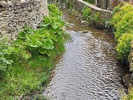 Helmsley