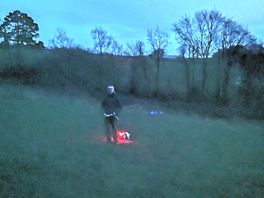 Secure dog walking field