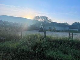 Morning view from camp