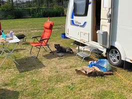 Plenty of room on pitches