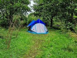 Our little pitch survived three storms!