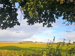 Morning, looking towards the black mountains