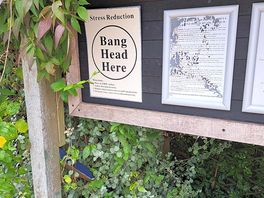 Quirky signs